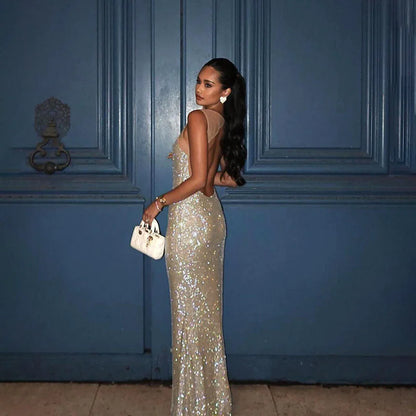 Shiny Dress